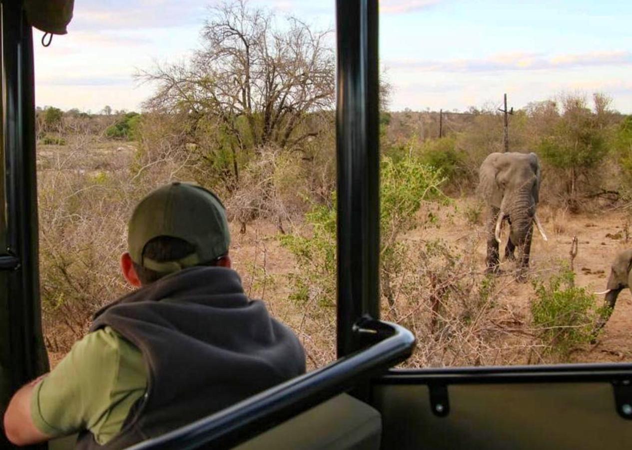 Burchell'S Bush Lodge By Dream Resorts Sabi Sand Game Reserve Exterior photo