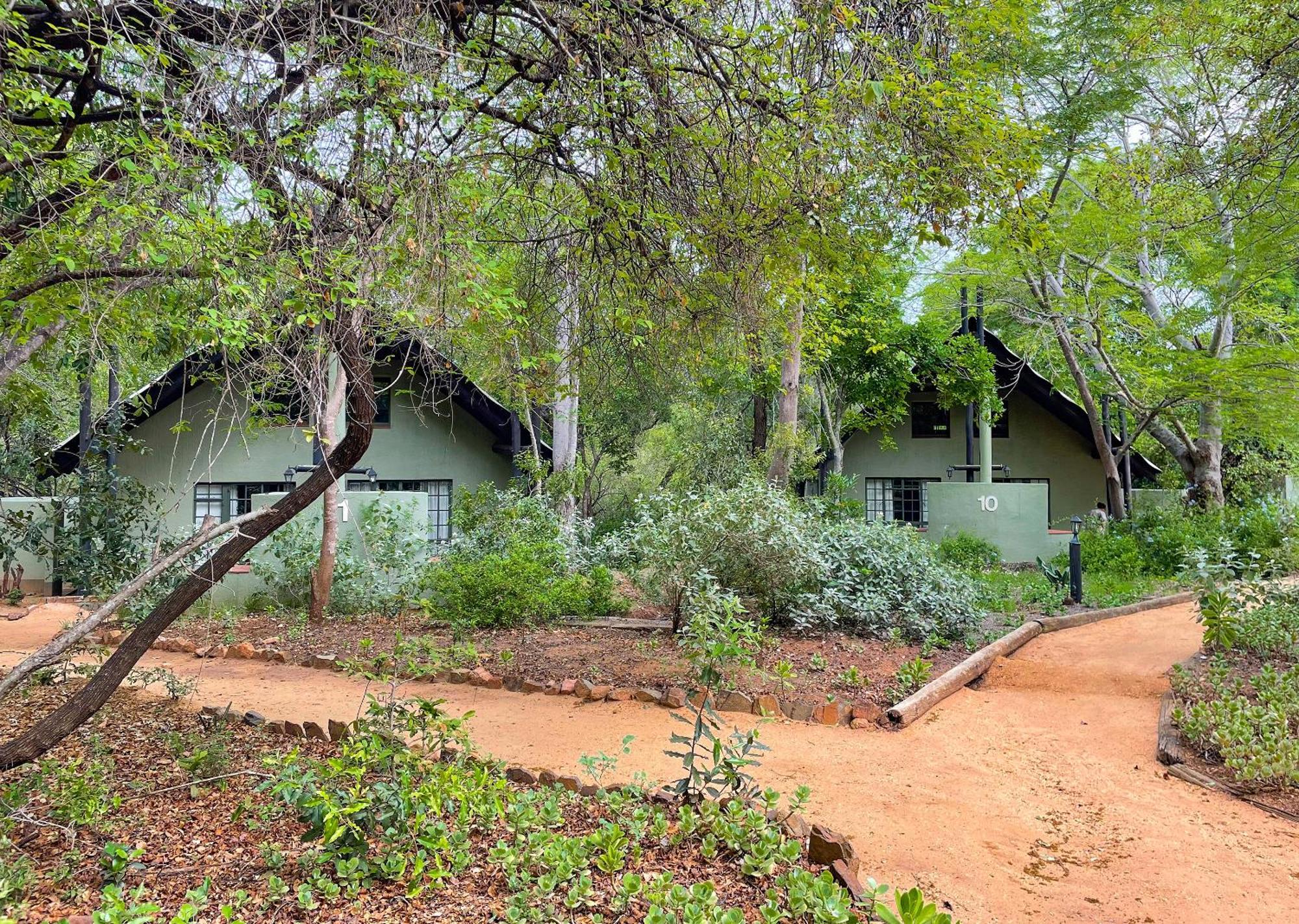 Burchell'S Bush Lodge By Dream Resorts Sabi Sand Game Reserve Exterior photo